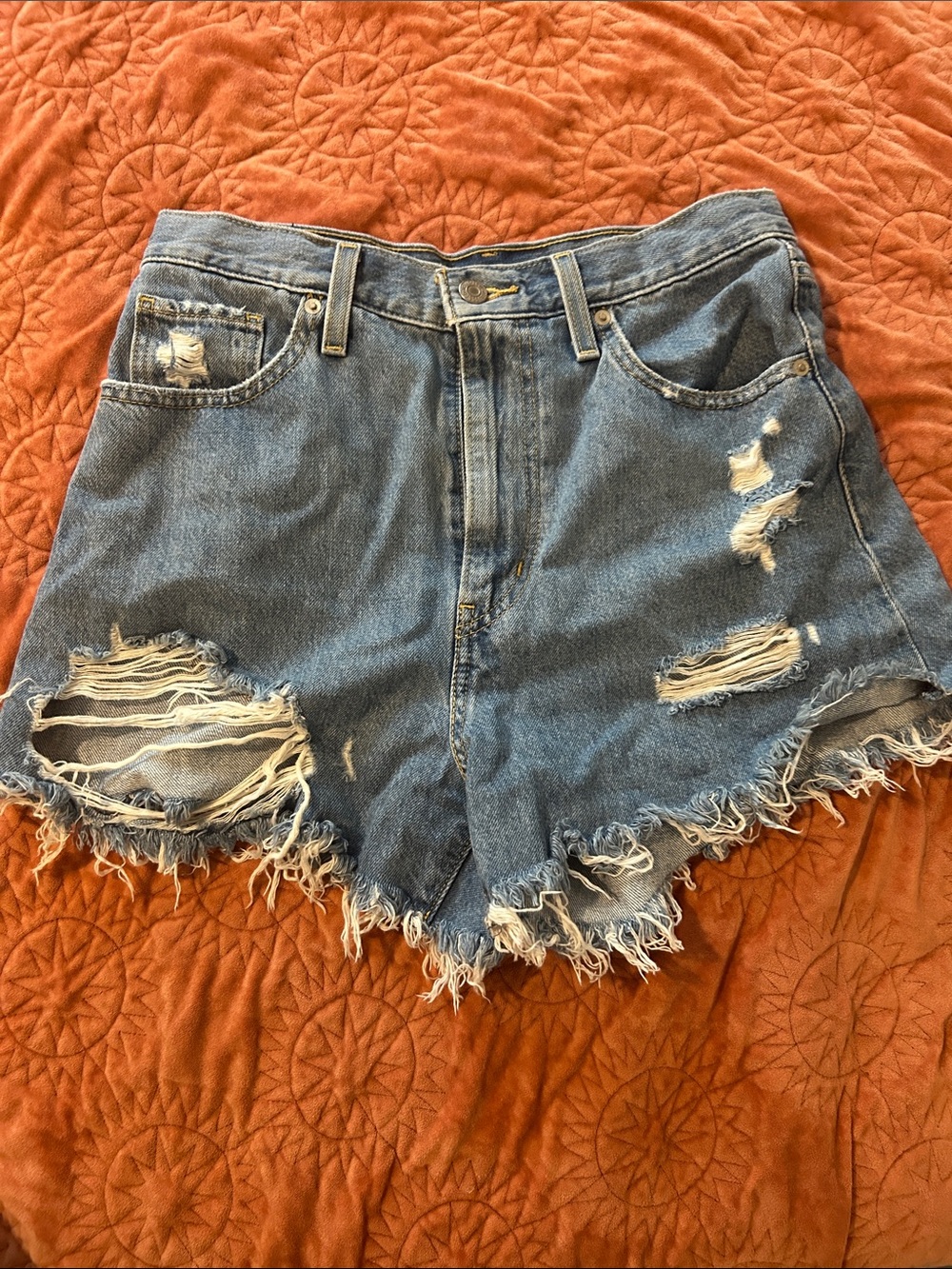 Levi's Light Blue Distressed Denim Cutoff Shorts